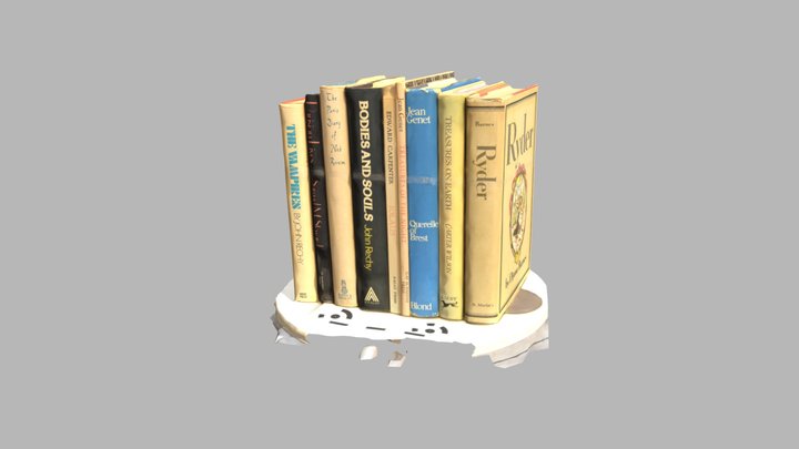 Shelf of literary "seized books" 3D Model