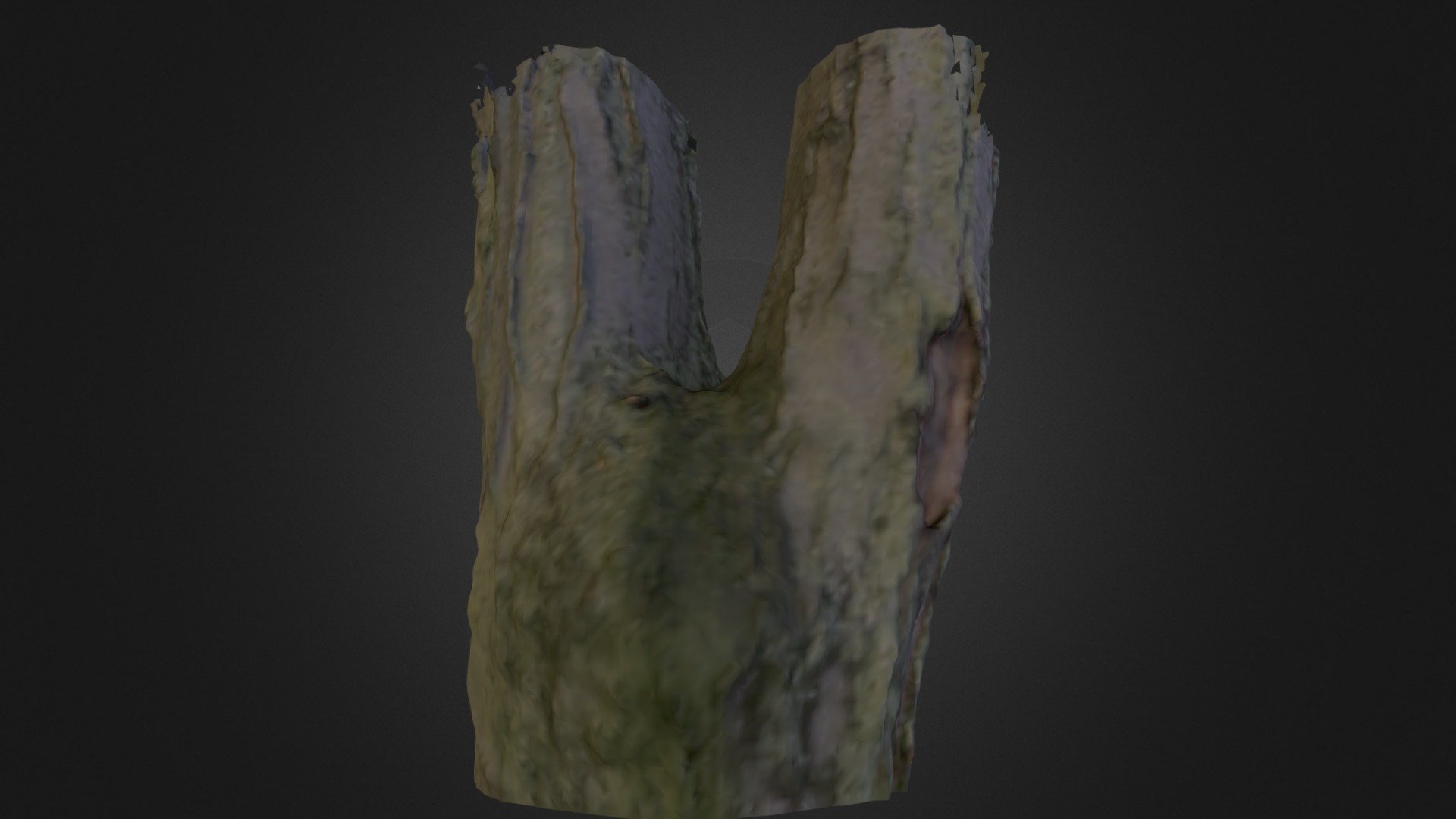 Tree Section - 3D model by agentflizzo [b76ef24] - Sketchfab