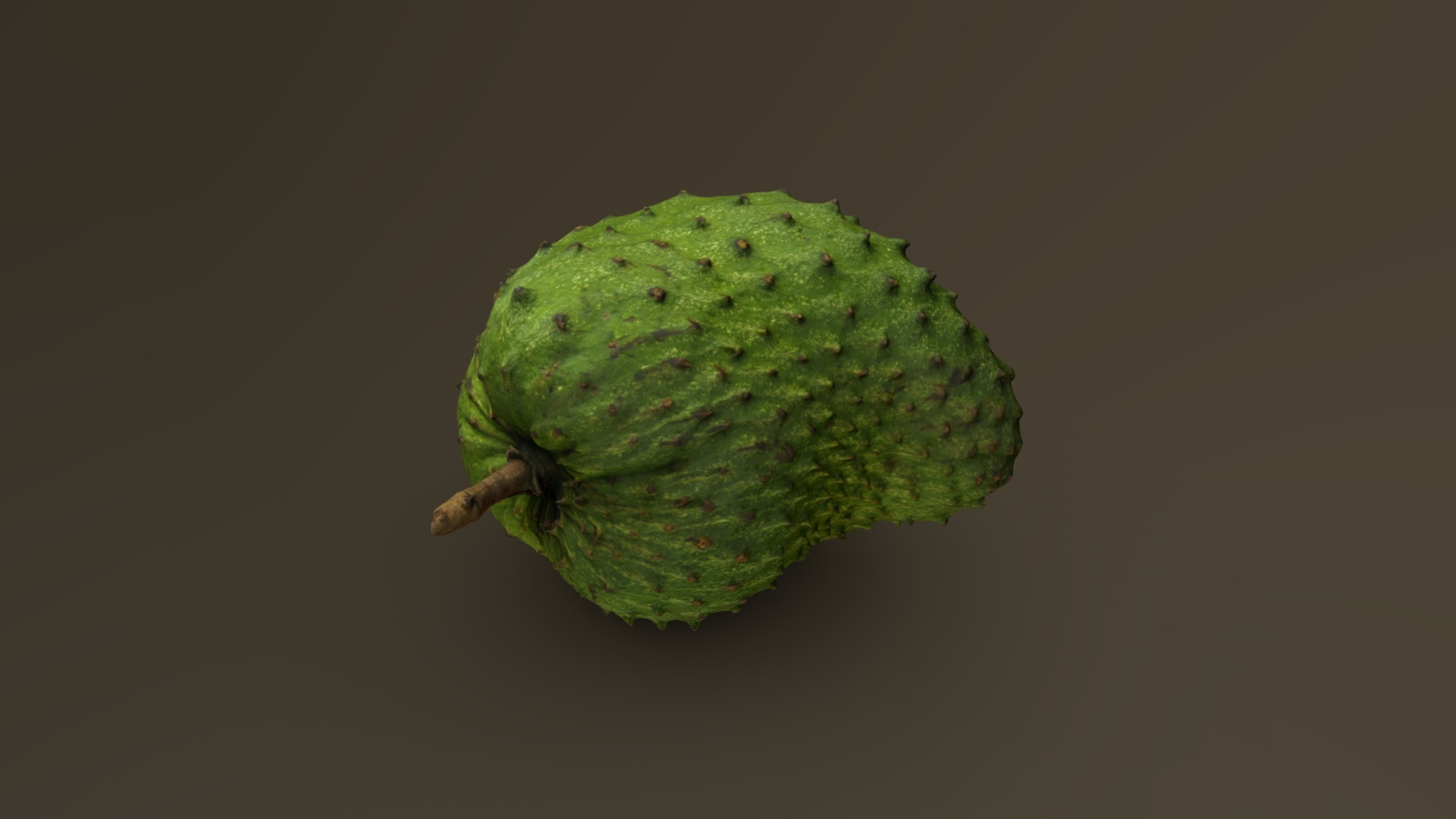 3D model Soursop (Graviola) 02 - This is a 3D model of the Soursop (Graviola) 02. The 3D model is about a green leaf on a branch.