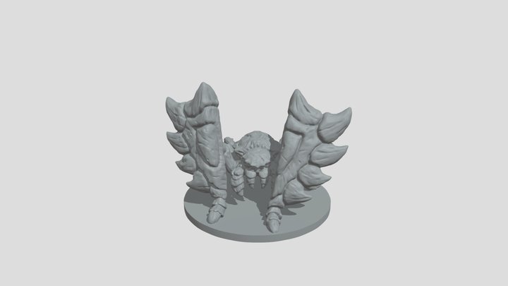 Wild Spider 3D Model