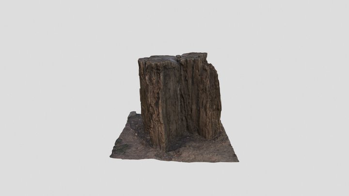 Pine Stomp 3D Model