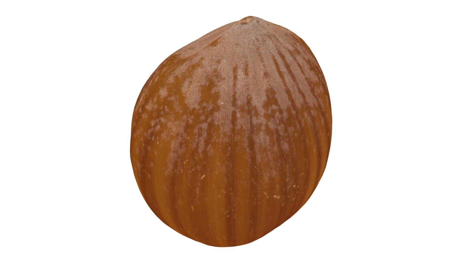 Hazelnut #3
