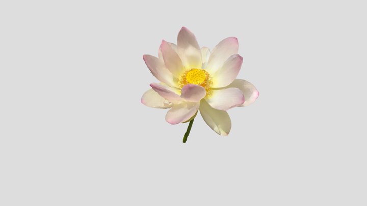 緑地美人 3D Model