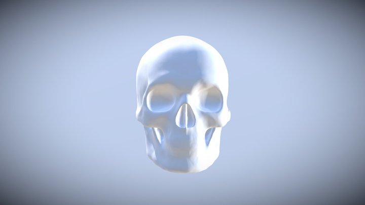头骨 3D Model