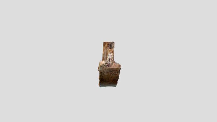 Polycam capture 3D Model