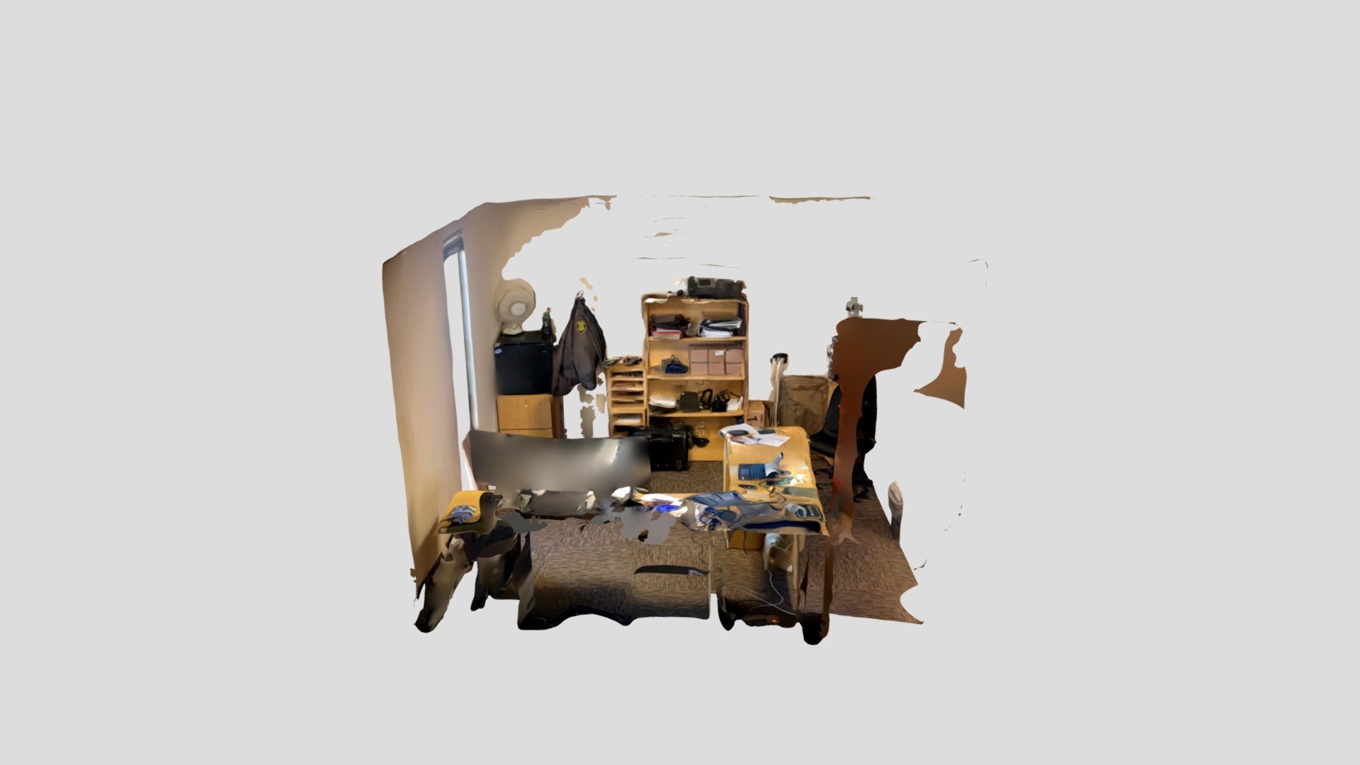 Polycam capture