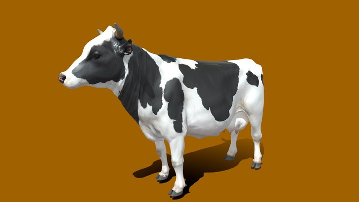 Farm cow 3D Model