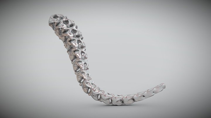 Spine_test02 3D Model