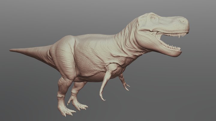 T_Rex 3D Model