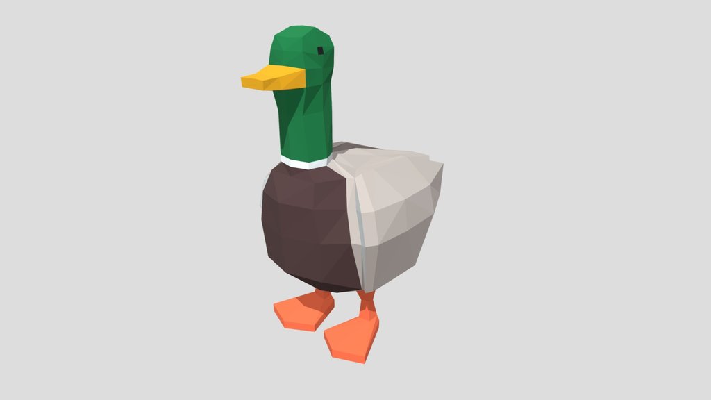 Duck
