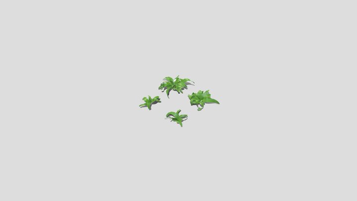 Fern_02_1k 3D Model