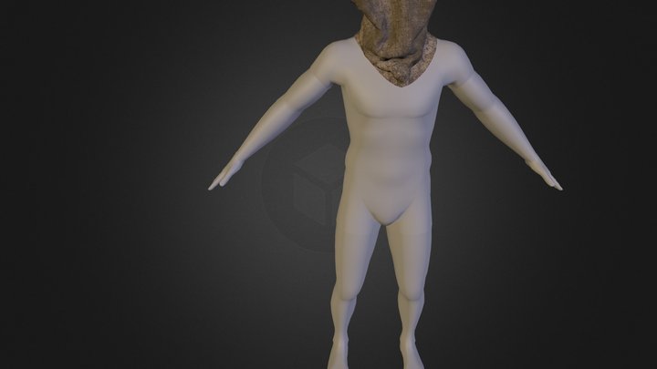 Head sack 3D Model