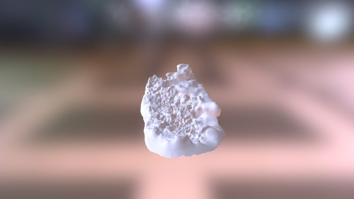Legs 3D Model