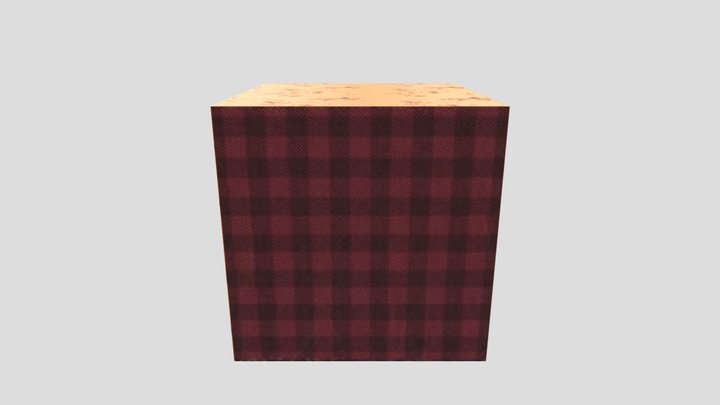 Texture Test - CUBE 3D Model