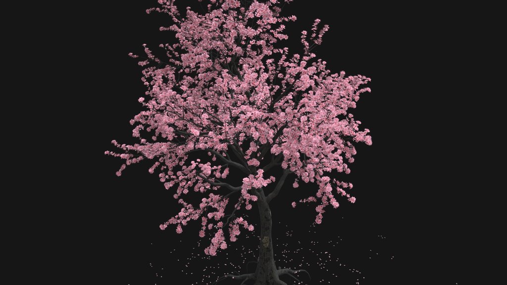 Cherry Tree