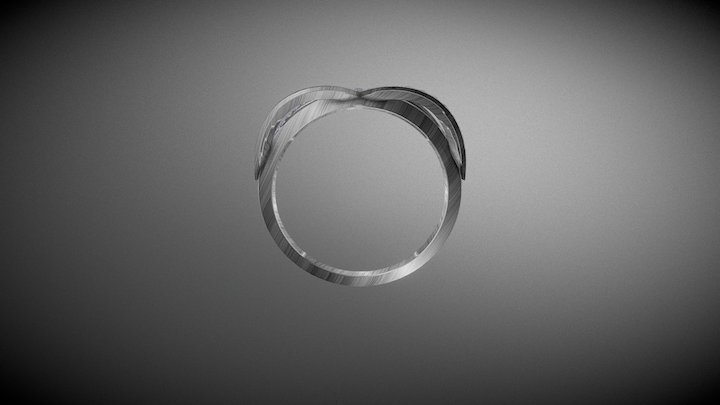 Infinity Ring 3D Model