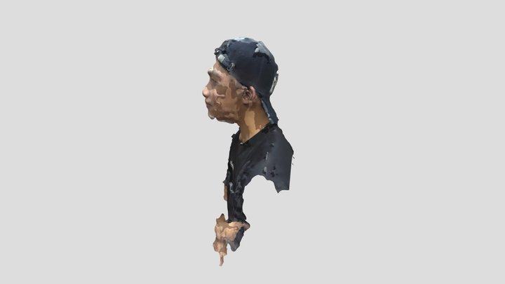 3D Face Scan 3D Model