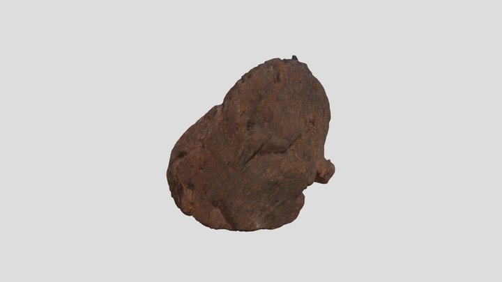 Wet Wood 3D Model