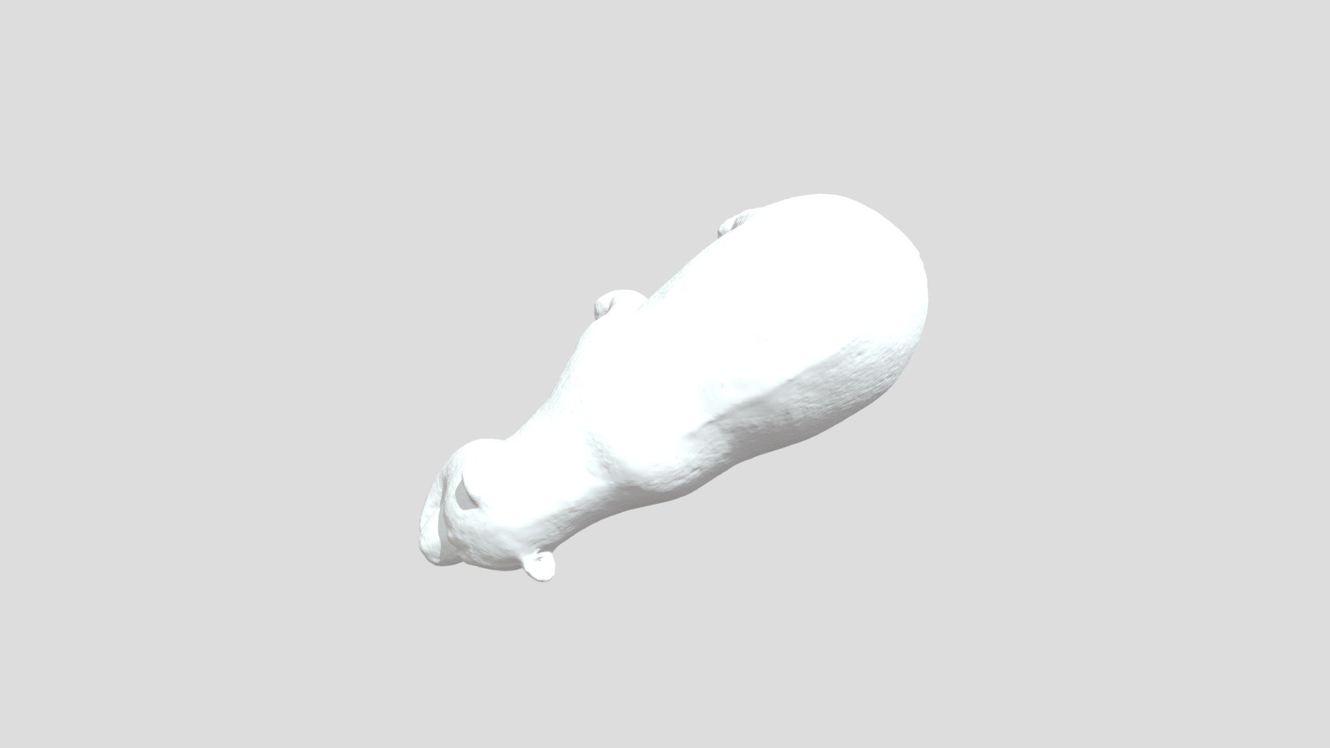 Bear Mesh