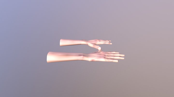 Hand Arm Missing Fingers 3D Model