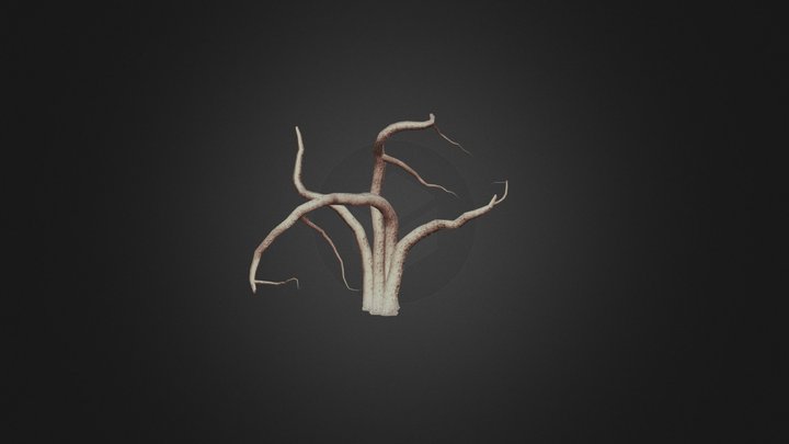 Weeping Willow Tree Trunk 1 3D Model