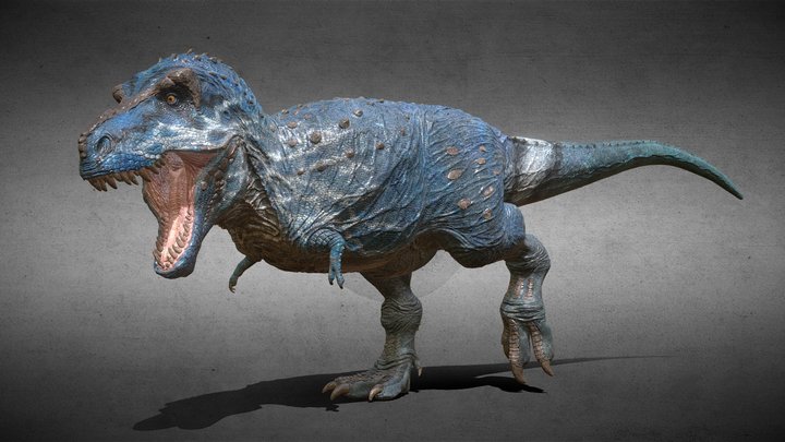 Tyrannosaurus reptile ver 2017 3D Model