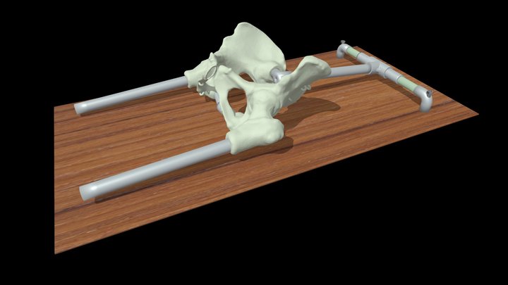 Simulador de Hamaca Pélvica 3D Model