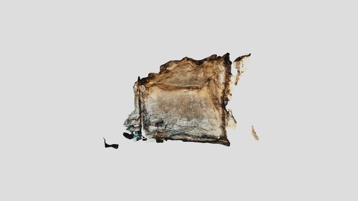 Yuraq Qaqa - East Panel 3D Model