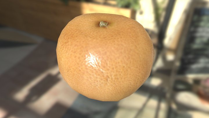 Grapefruit 3D Model