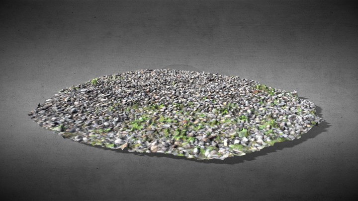 Gravel RAW 3D Scan 3D Model