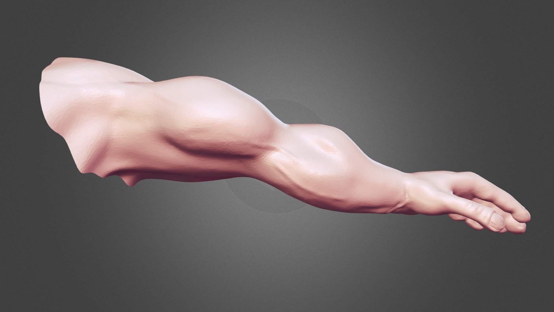 Sculptjanuary 2018 Day 15: Limb - 3D model by 3dnett [b7aca8f] - Sketchfab