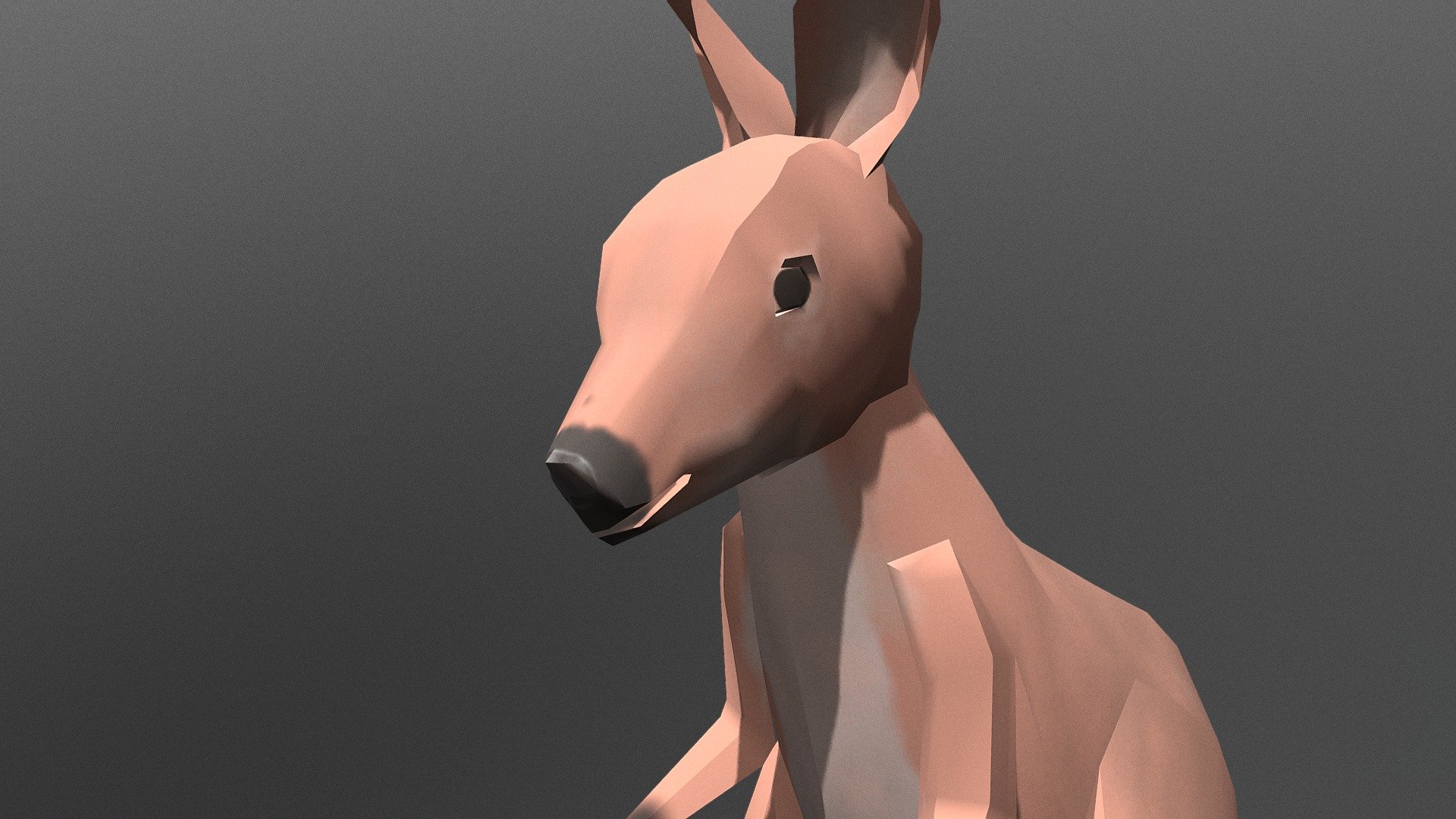Wallaby