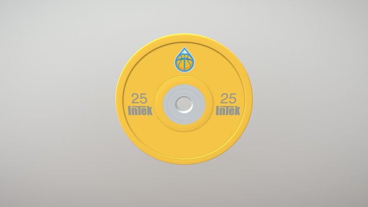 Intek Bumper - Denver Nuggets 3D Model