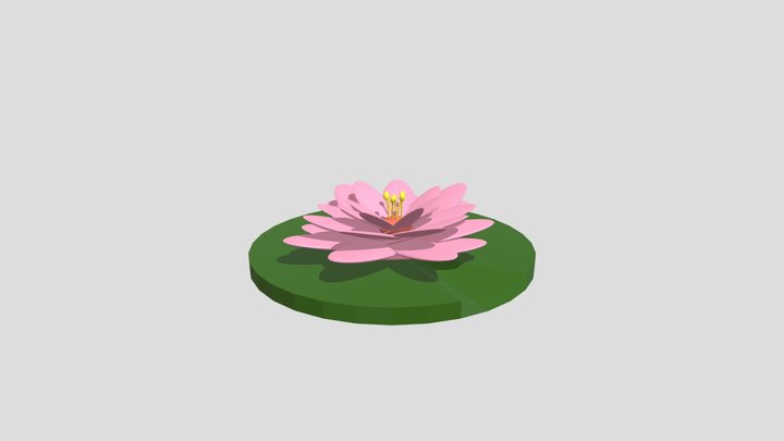 Flor de Loto 3D Model