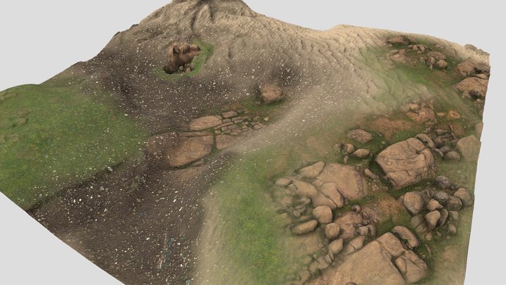 Free designed Terrain 3D Model