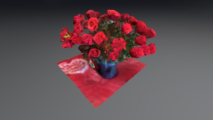 Roses rough 3D scan 3D Model