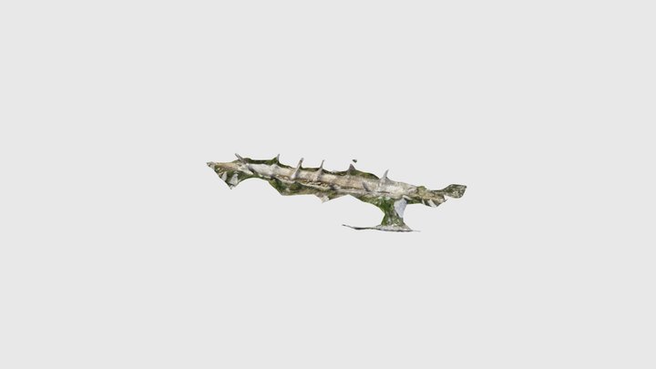 French boat 3D Model