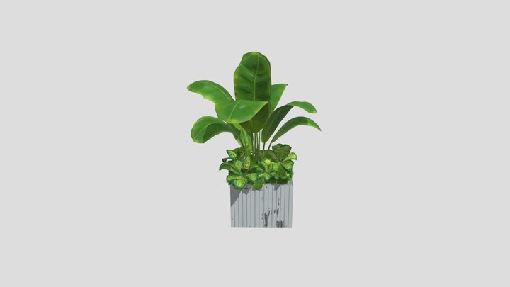 Indoor Plant Box