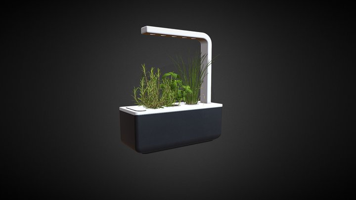 Indoor Garden Small 3D Model