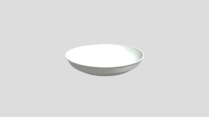 Minimalist Stainless Dish