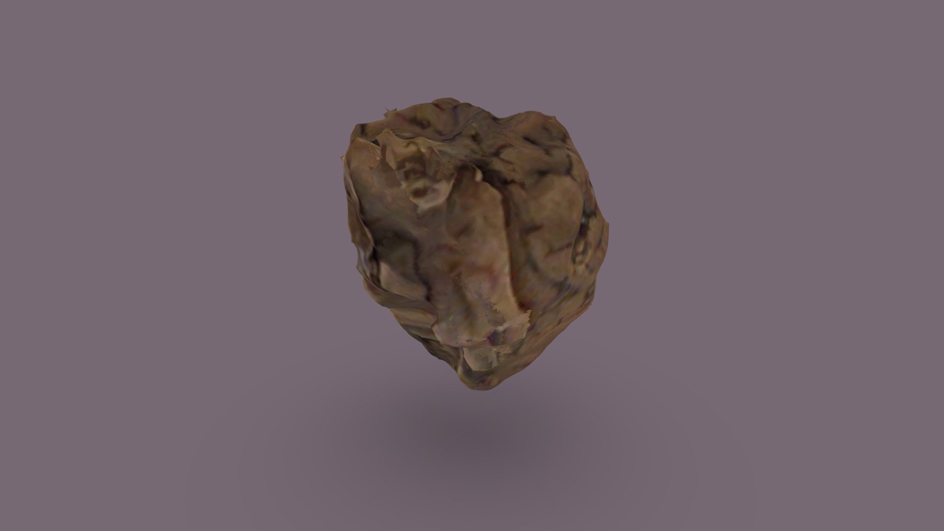 Brain 5