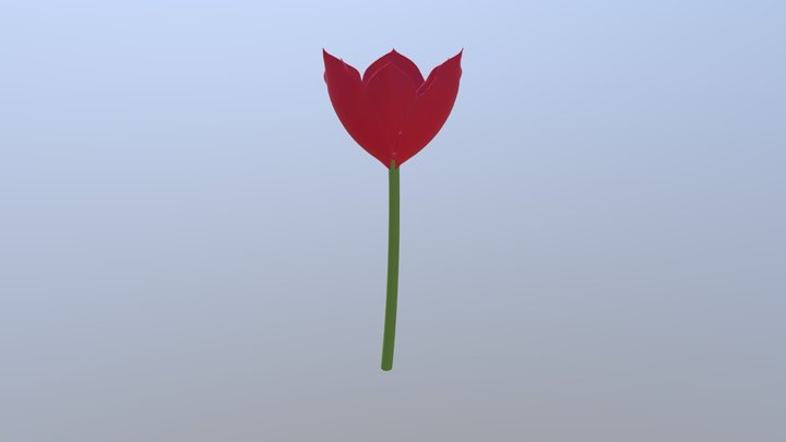 Tulipa Agenensis 3D Model