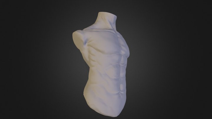 Male Torso 3D Model