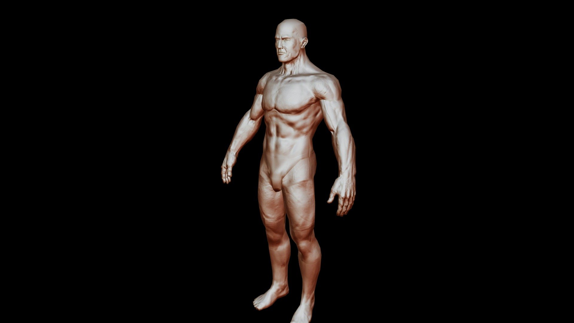 Modelo referencias anatómicas y esqueléticas