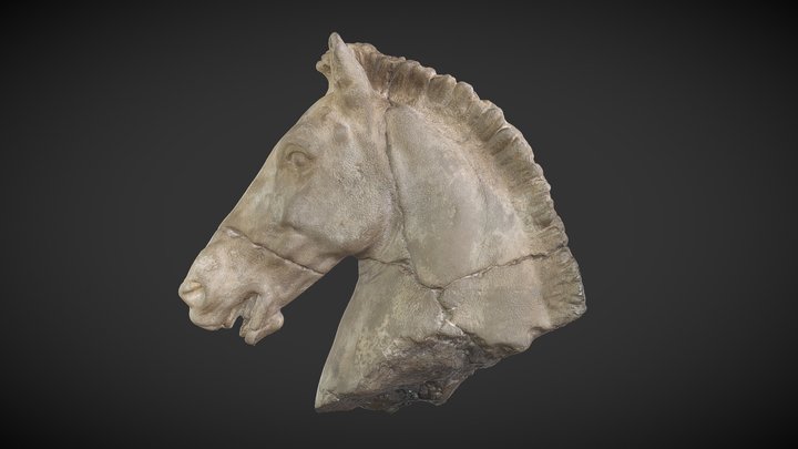 Classical Greek Horse Head 3D Model