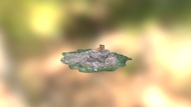 Shoe Stump (Compressed) 3D Model