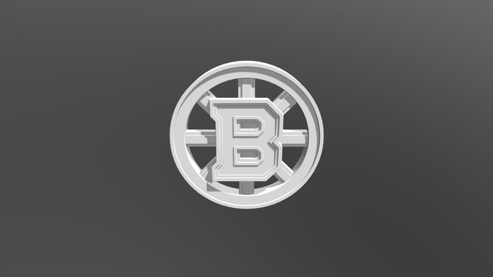 Boston Bruins 3D Model