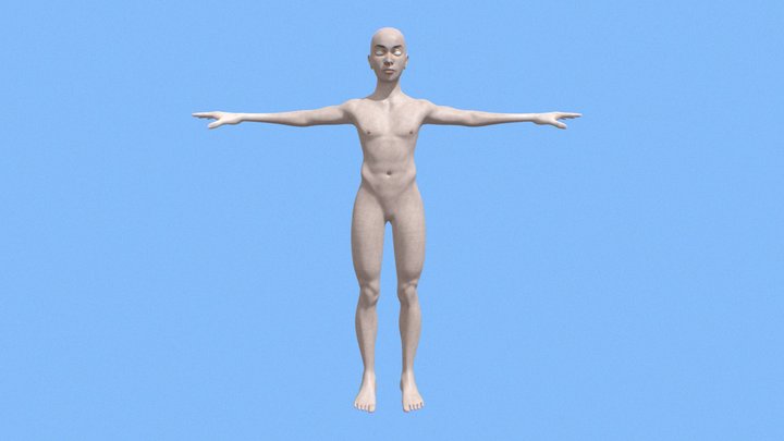 FREE MALE BASE MESH 02 T POSE 3D Model