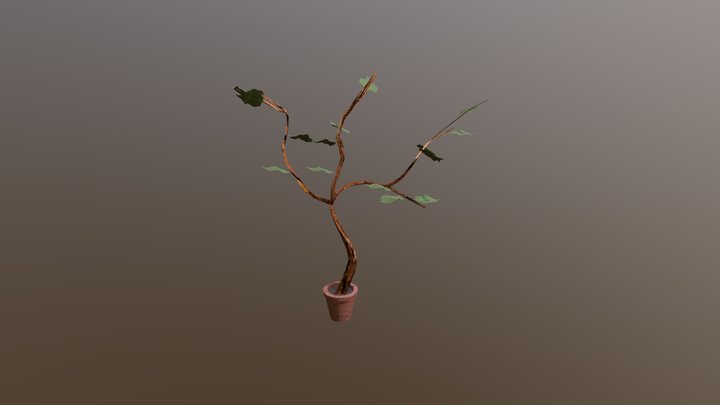 PLANT 3D Model