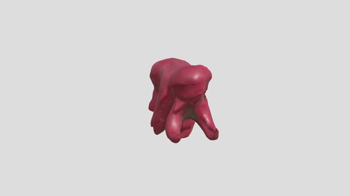 yusuf jr – Free 3D Model STL